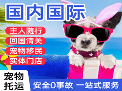 上海虹桥航空邮寄国际宠物托运 【国